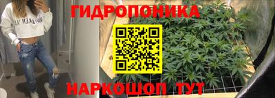 СК Волгодонск