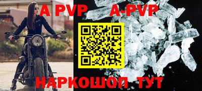 СК Волгодонск
