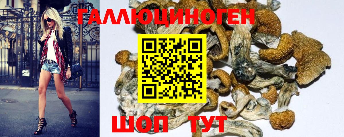 Псилоцибиновые грибы MAGIC MUSHROOMS Старая Русса