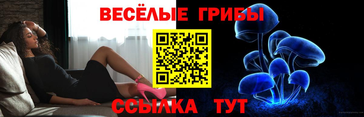 Псилоцибиновые грибы GOLDEN TEACHER  Галлюциногенные грибы Psilocybe  Старая Русса  Вход с VPN 